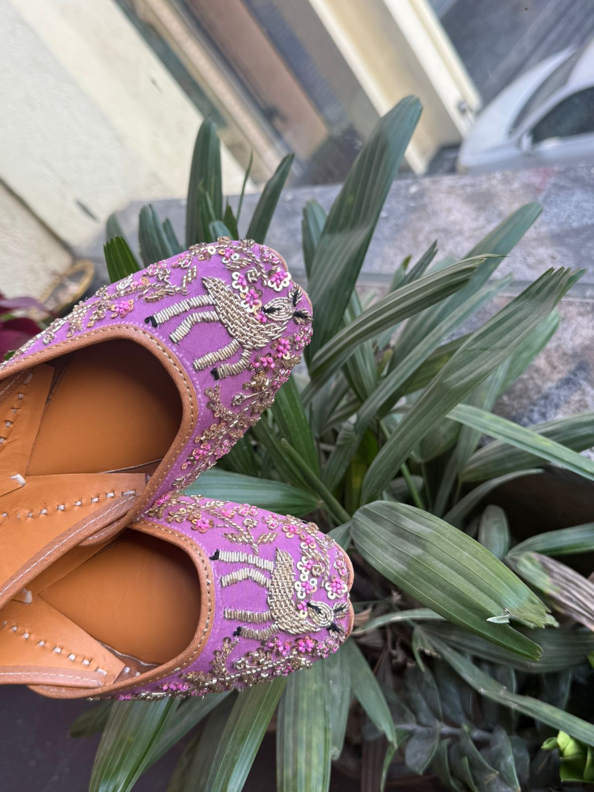 DEER LAVENDER (SOGAT)